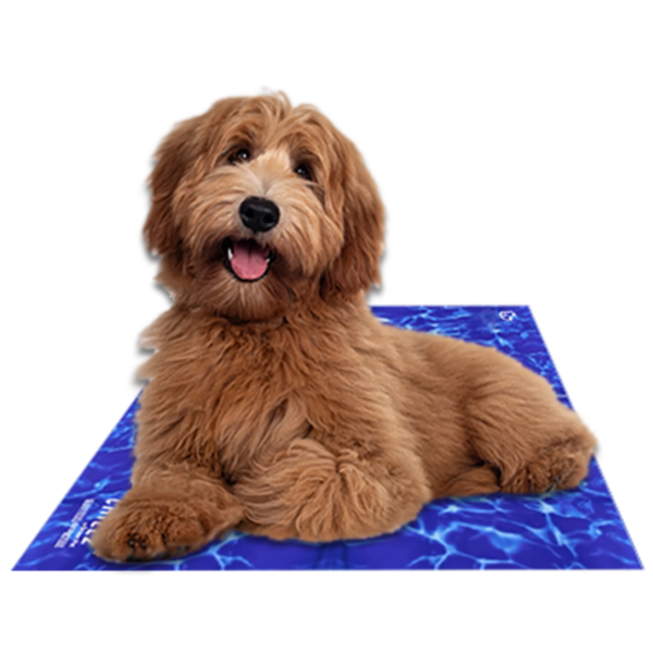 Chillz Cooling Mat