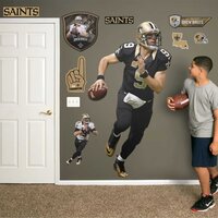 Terrell Owens NFL Removable Wall Decal