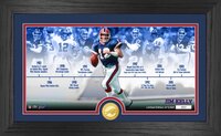 Miami Dolphins Dan Marino Highland Mint 12'' x 20'' Timeline Pano