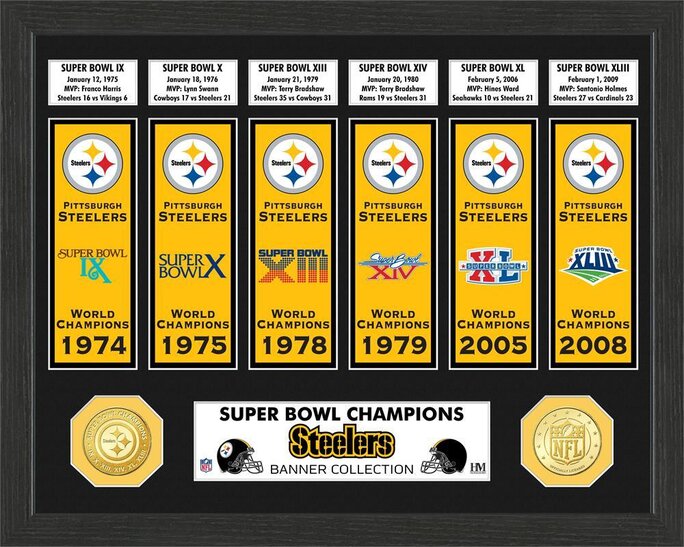 Pittsburgh Steelers Highland Mint 27 x 20 Framed Super Bowl Ticket & Coin  Collection