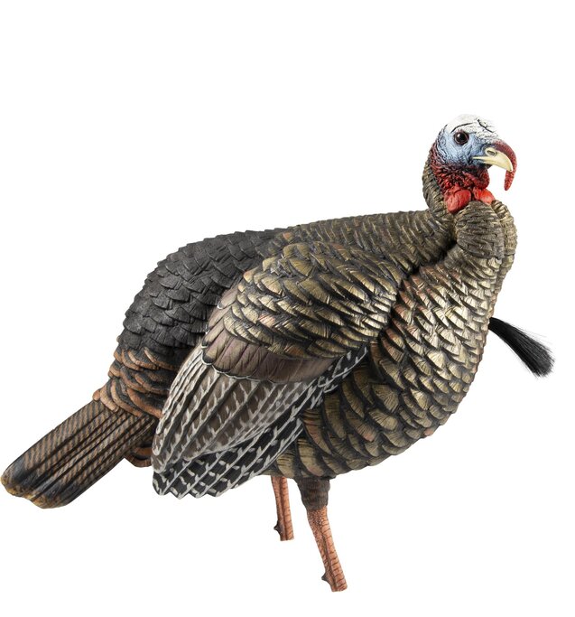 希少 ドイツ ベルントディンバート 4/4 美品 虎杢 Avian-X - HDR Hen Turkey Decoy - Military & Gov't Discounts | GOVX