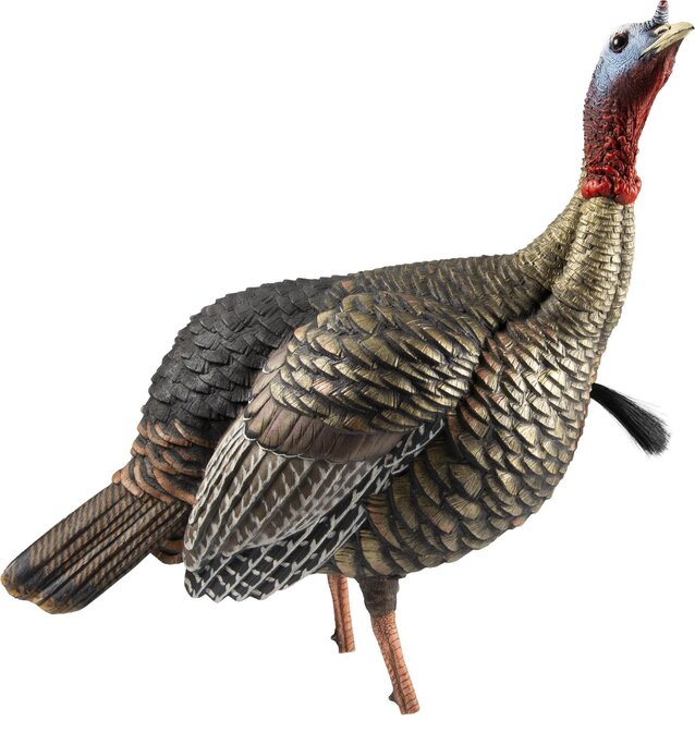 Avian-X - HDR Hen Turkey Decoy - Military & Gov't Discounts | GOVX