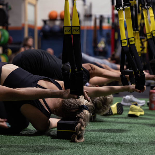 Trx Training Course